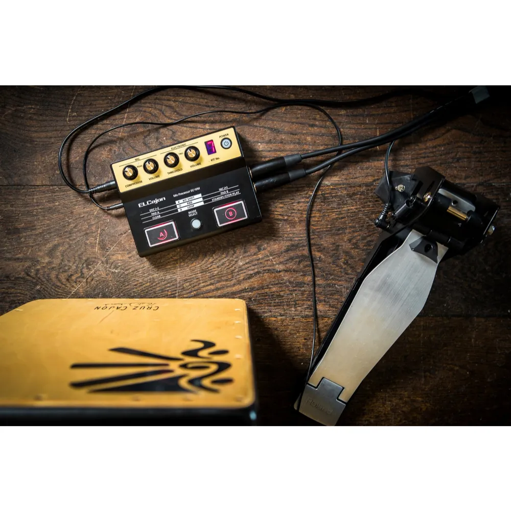 Roland Cajon Mic Processor EC-10M